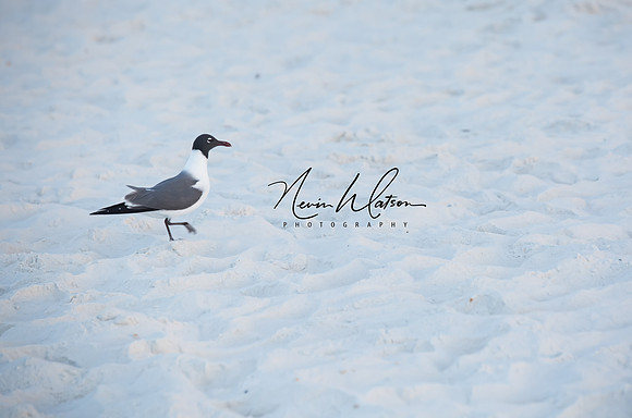NDM_4991-Edit
